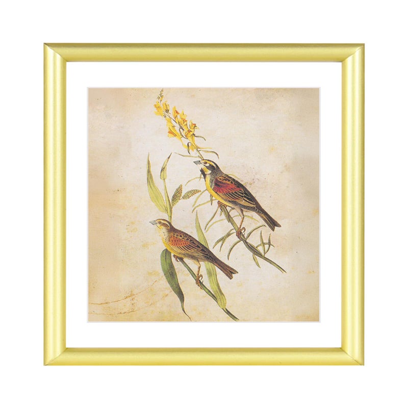 Fkvat 6x6 Picture Frame, Gold Aluminum Metal Square Photo Frame with HD Glass, Fits 5x5 with Mat or 6 x 6 without Mat, Display For Tabletop or Wall Collage, 1 Pack - Image 1